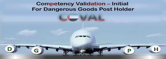 Competency Validation - Initial for Dangerous Goods Post Holder